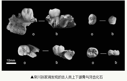 云顶集团4118.com 1