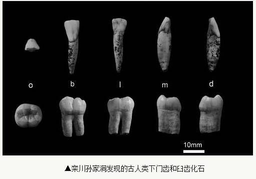 云顶集团4118.com 2