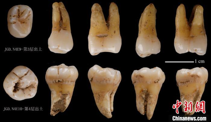 陕西南郑疥疙洞遗址原生地层出土人类牙齿化石.