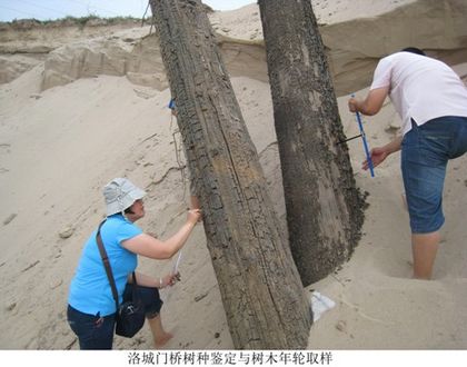 图片 13